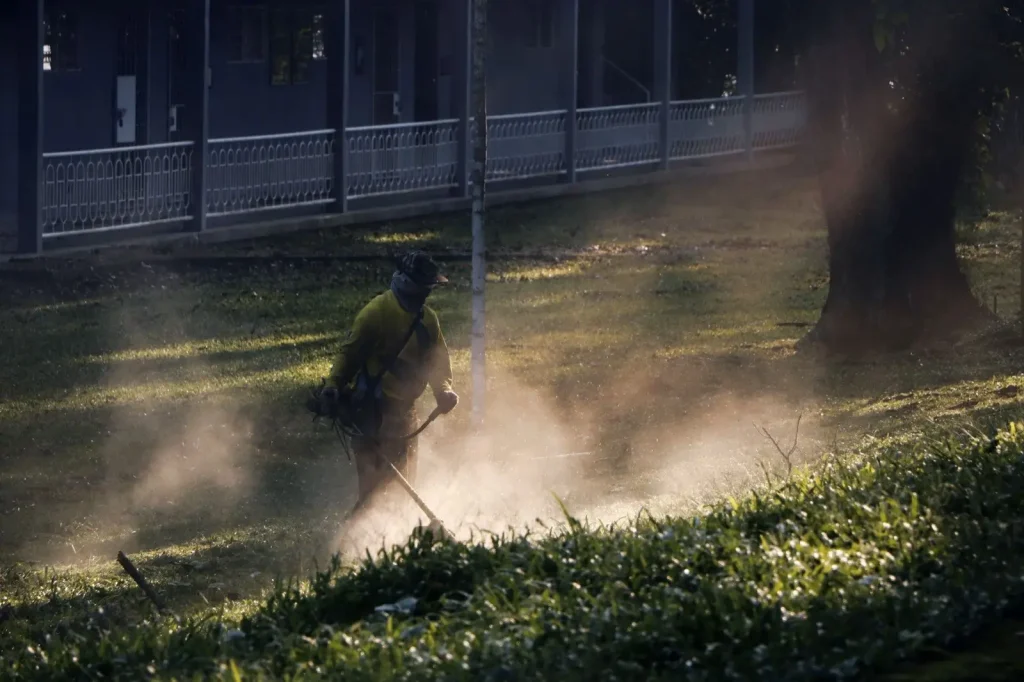 Yard work in early morning light