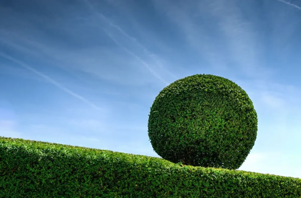 A clean sphere